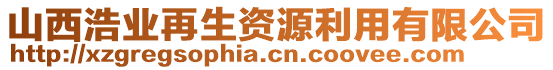 山西浩業(yè)再生資源利用有限公司