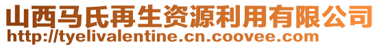 山西馬氏再生資源利用有限公司