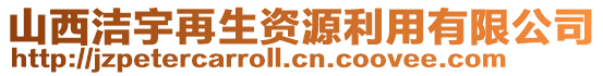 山西洁宇再生资源利用有限公司