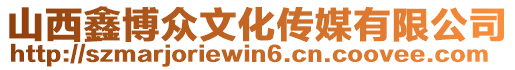 山西鑫博眾文化傳媒有限公司