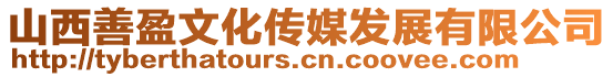 山西善盈文化傳媒發(fā)展有限公司