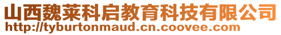 山西魏萊科啟教育科技有限公司