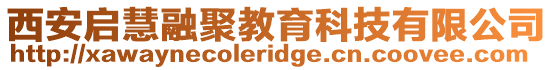 西安啟慧融聚教育科技有限公司