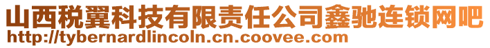 山西稅翼科技有限責(zé)任公司鑫馳連鎖網(wǎng)吧