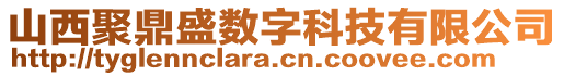 山西聚鼎盛數(shù)字科技有限公司