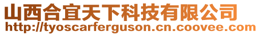 山西合宜天下科技有限公司