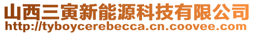 山西三寅新能源科技有限公司