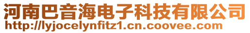 河南巴音海電子科技有限公司