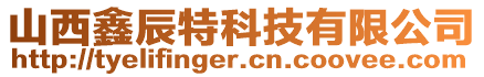 山西鑫辰特科技有限公司