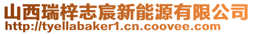 山西瑞梓志宸新能源有限公司