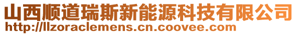 山西順道瑞斯新能源科技有限公司