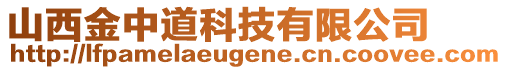 山西金中道科技有限公司