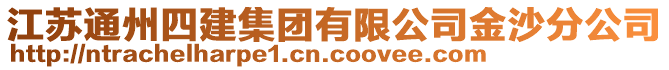 江蘇通州四建集團(tuán)有限公司金沙分公司