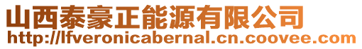 山西泰豪正能源有限公司