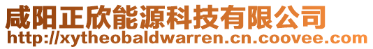 咸陽正欣能源科技有限公司