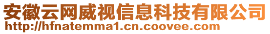 安徽云網(wǎng)威視信息科技有限公司