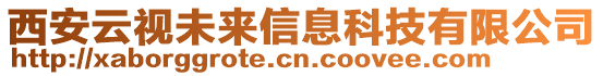 西安云視未來信息科技有限公司