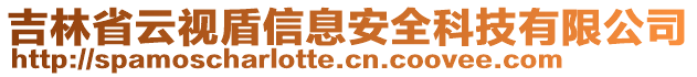 吉林省云視盾信息安全科技有限公司