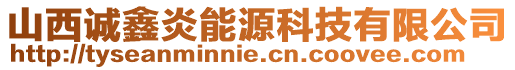 山西誠鑫炎能源科技有限公司