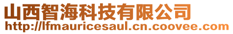 山西智?？萍加邢薰? style=