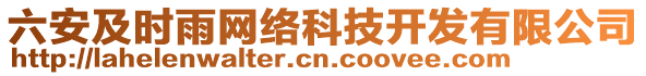 六安及時雨網(wǎng)絡(luò)科技開發(fā)有限公司