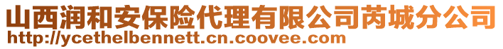 山西潤和安保險代理有限公司芮城分公司