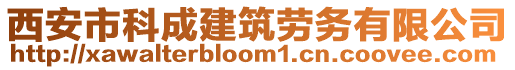 西安市科成建筑勞務(wù)有限公司