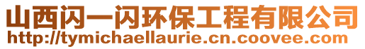 山西閃一閃環(huán)保工程有限公司