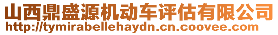 山西鼎盛源機動車評估有限公司