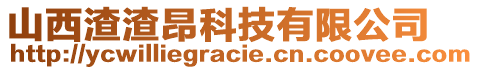 山西渣渣昂科技有限公司