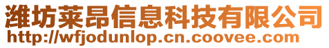 濰坊萊昂信息科技有限公司