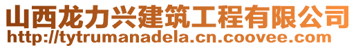 山西龍力興建筑工程有限公司