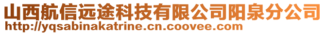 山西航信遠(yuǎn)途科技有限公司陽泉分公司