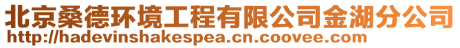 北京桑德環(huán)境工程有限公司金湖分公司