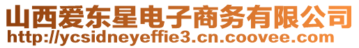 山西愛東星電子商務(wù)有限公司