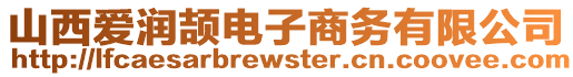 山西爱润颉电子商务有限公司