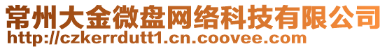 常州大金微盤(pán)網(wǎng)絡(luò)科技有限公司