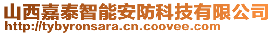 山西嘉泰智能安防科技有限公司