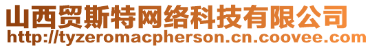 山西貿(mào)斯特網(wǎng)絡(luò)科技有限公司