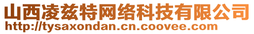 山西凌茲特網(wǎng)絡(luò)科技有限公司