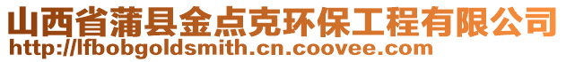 山西省蒲縣金點克環(huán)保工程有限公司