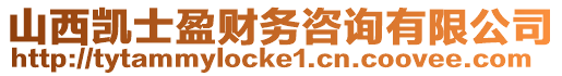 山西凱士盈財務(wù)咨詢有限公司