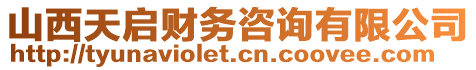 山西天啟財務(wù)咨詢有限公司