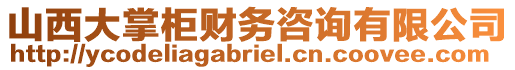 山西大掌柜財(cái)務(wù)咨詢有限公司