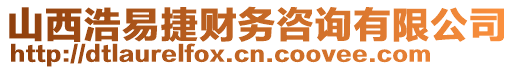 山西浩易捷財(cái)務(wù)咨詢有限公司