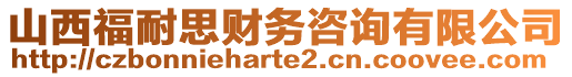 山西福耐思財務(wù)咨詢有限公司