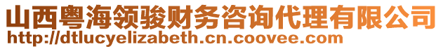 山西粵海領(lǐng)駿財(cái)務(wù)咨詢代理有限公司