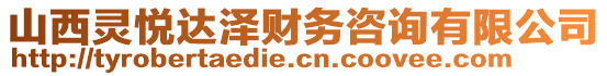 山西靈悅達澤財務(wù)咨詢有限公司