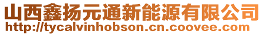 山西鑫揚(yáng)元通新能源有限公司