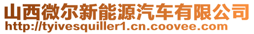 山西微爾新能源汽車有限公司